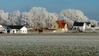 Winterimpressionen<br><small>Rolf Steichele</smalll>